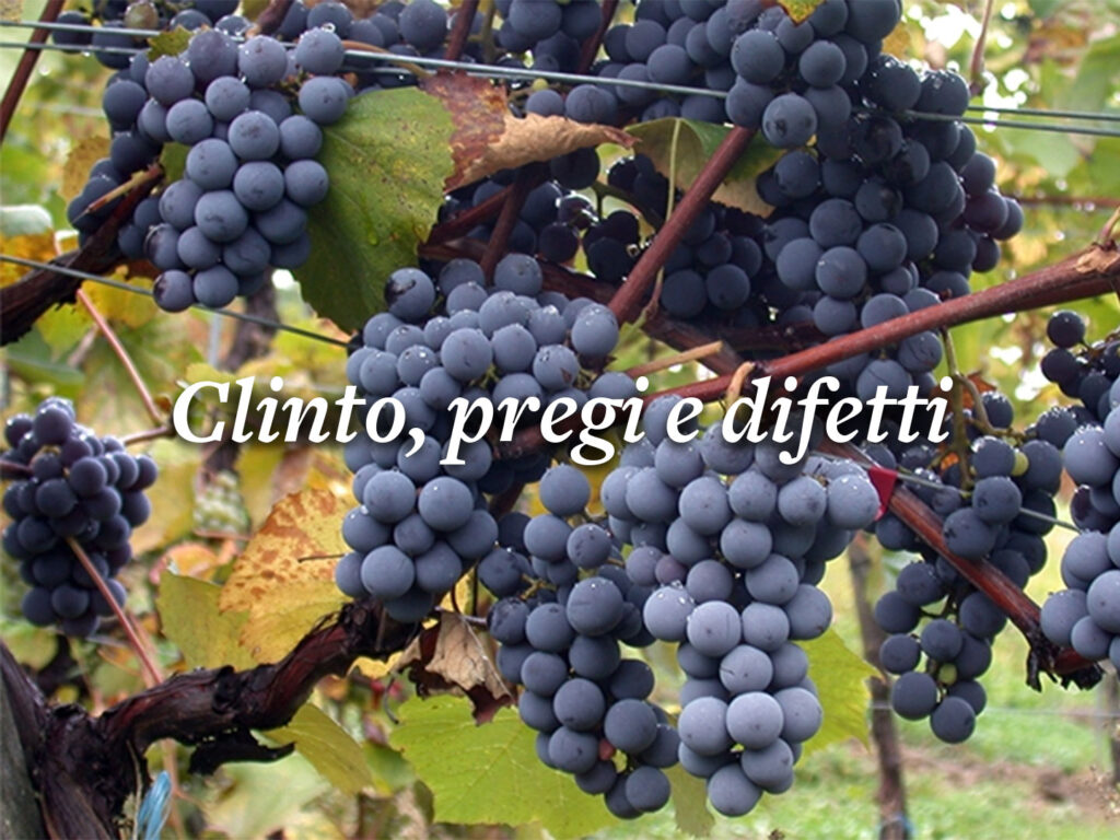 77vintido - Clinto, pregi e difetti